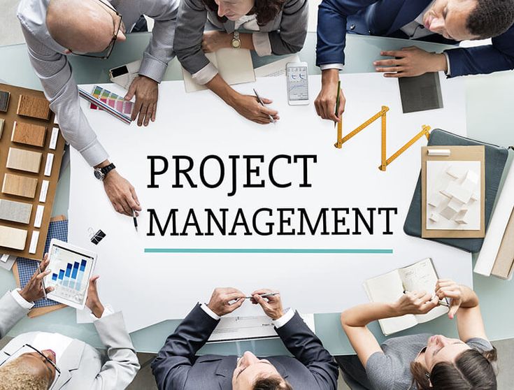 Project Management Professional (PMP)